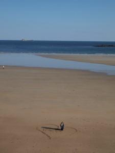 Fête des Pères à Saint Malo