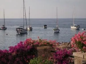 Des voiliers ancrés au large d'une côte méditerranéenne bordée de fleurs