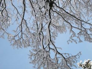15 mois ! (sous la neige...)