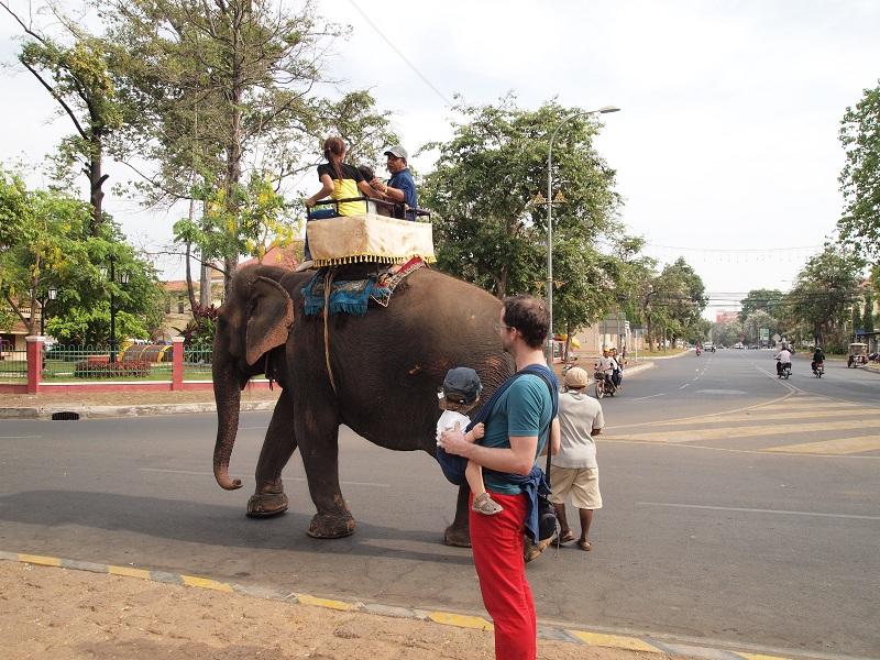 éléphant éléphant