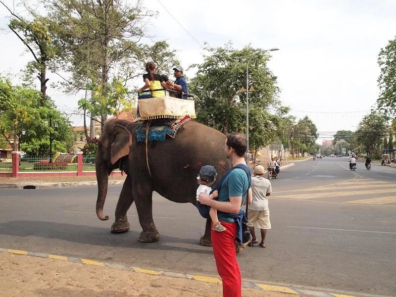 éléphant Éléphant avec des visiteurs dans une rue de Phnom Penh