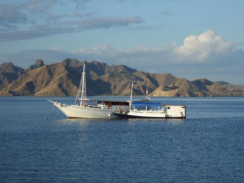 Komodo islands Indonésie Idées de voyages : mon top 10 d'îles de rêve