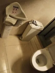 chaise haute toilettes