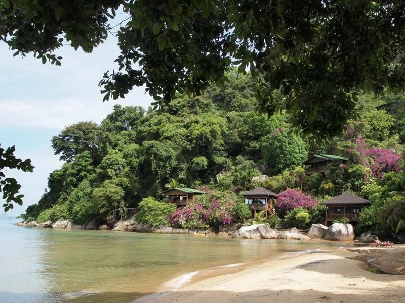 Crique tropicale abritée entourée d'une végétation luxuriante