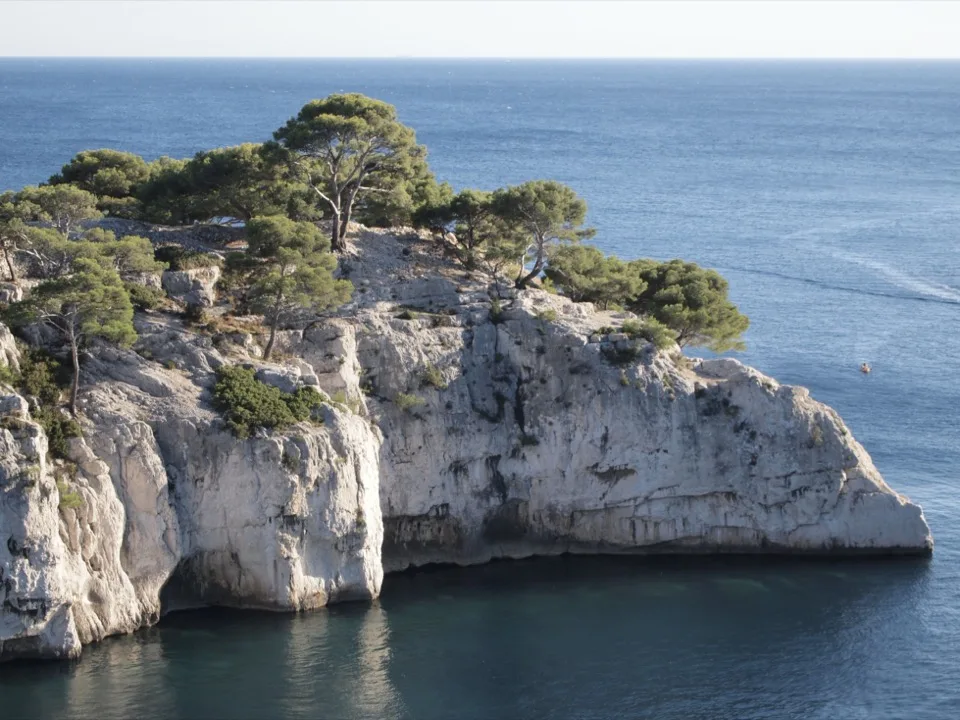 Cassis avec bébé