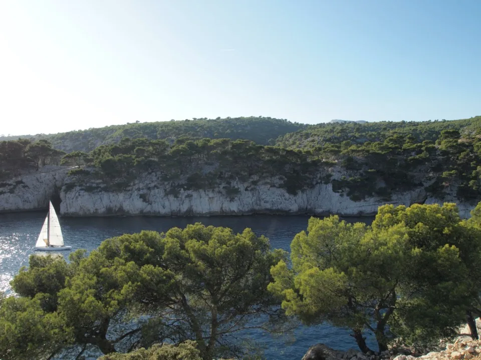 Cassis avec bébé