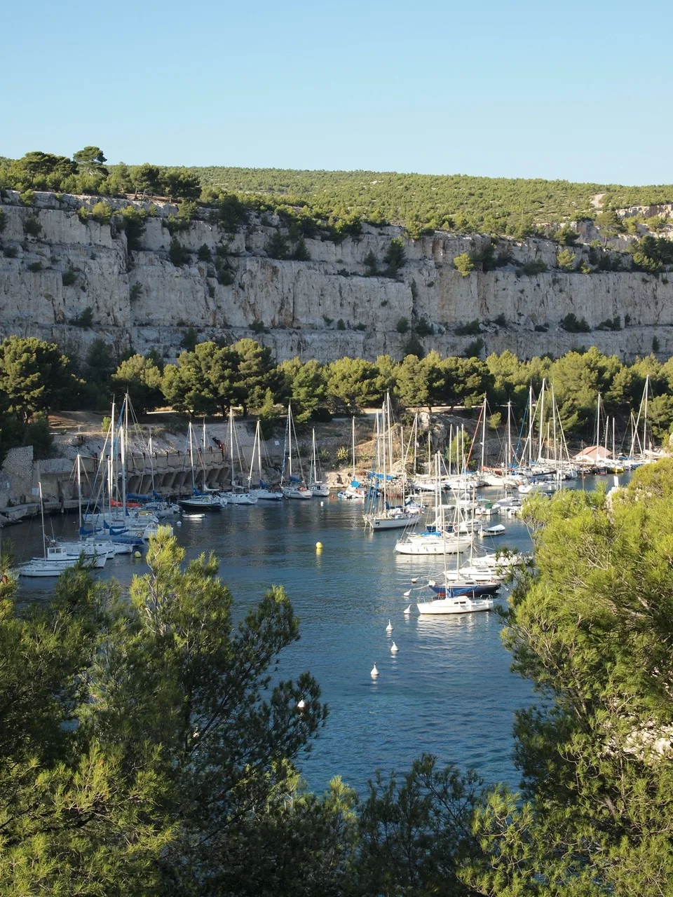 Cassis avec bébé