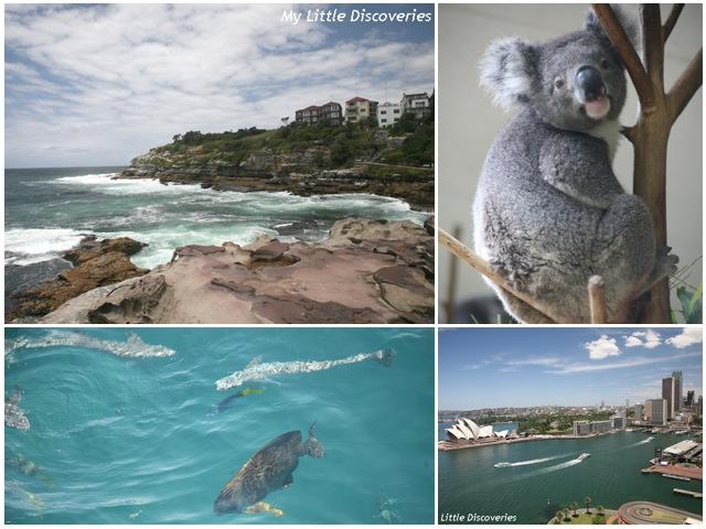 Interview voyage #5 : l'Australie