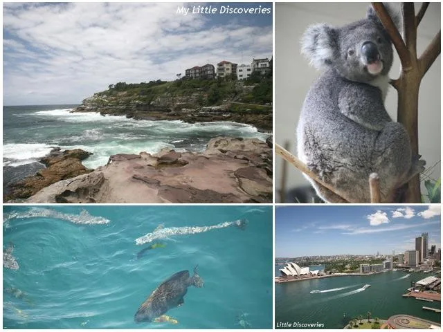 Australia2 Collage de Sydney, d'un koala et d'une baleine au large des côtes australiennes