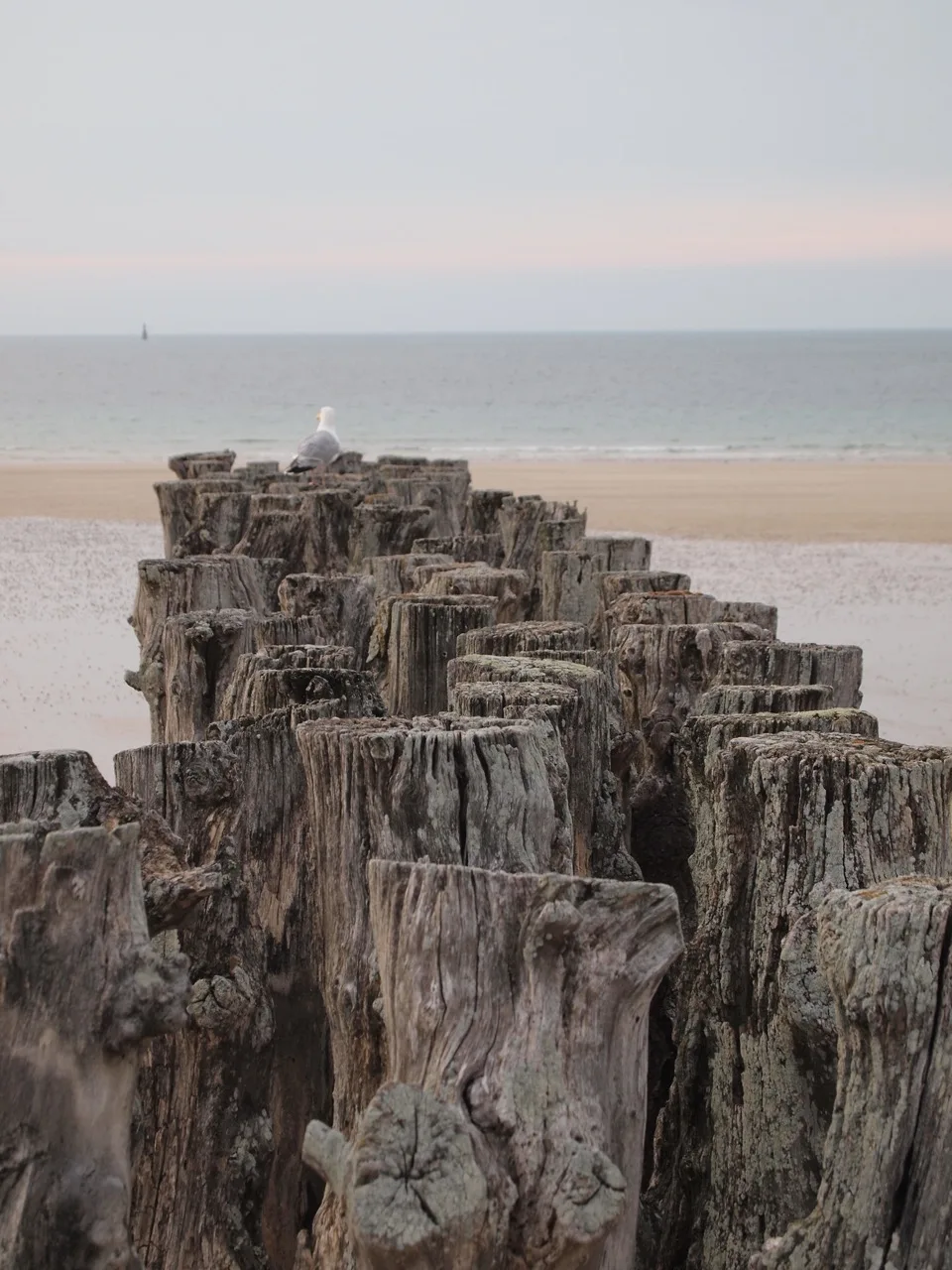 Saint-Malo