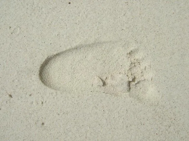 DSCF4278 Empreinte unique dans le sable pâle