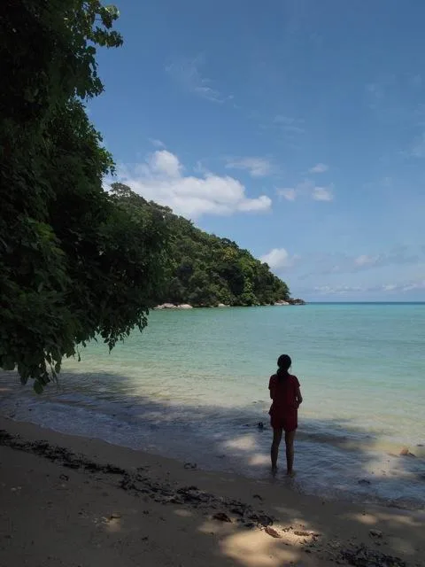 P3258413 Personne debout au bord d’une plage tropicale tranquille