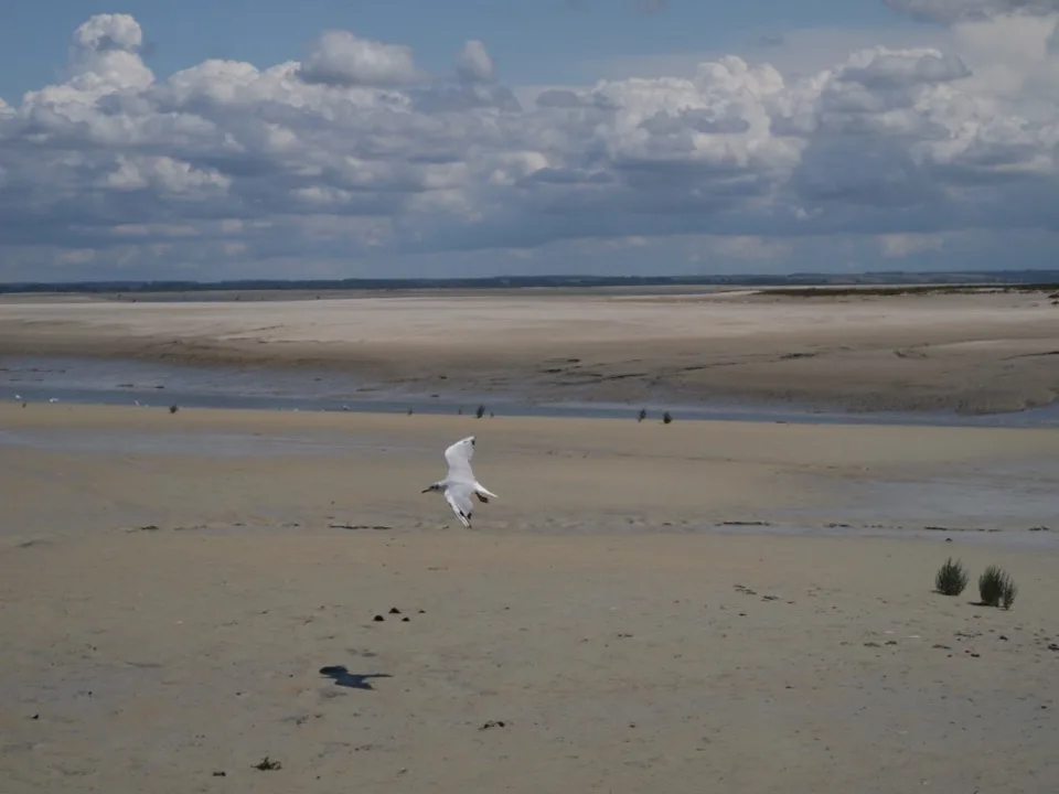 Baie de Somme à vélo avec bébé