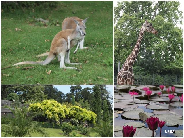 Un grand week-end en Allemagne