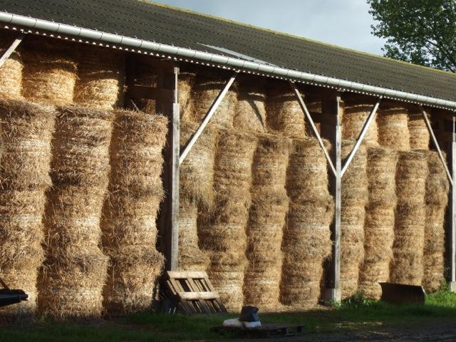 Week-end dans la Manche : séjour à la ferme