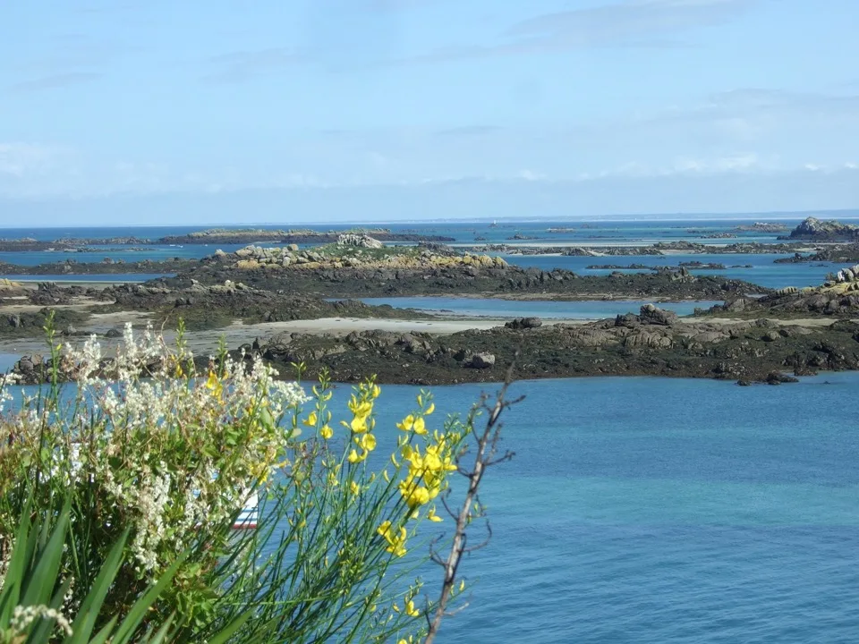 visiter ile chausey