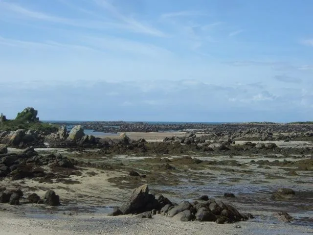 Estran rocheux à marée basse sur la côte de la Manche