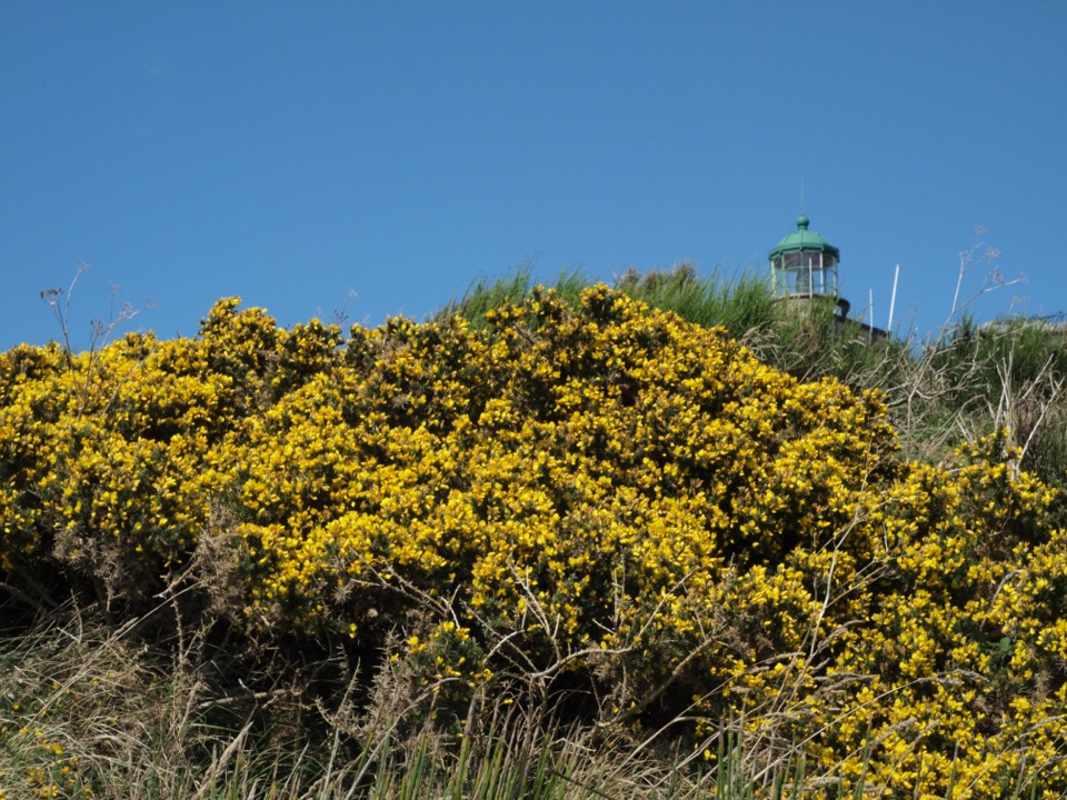 ile chausey en famille