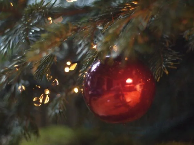 sapin Boule rouge accrochée à un arbre de Noël