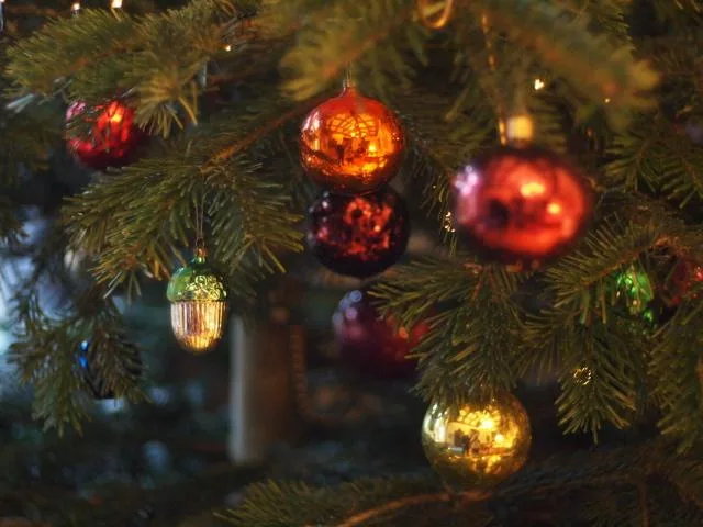 déco de Noel Boules rouges, dorées et vertes sur des branches de sapin