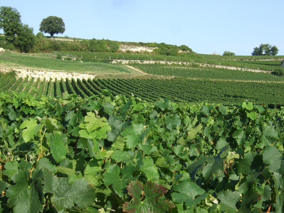 vacances Saint Emilion