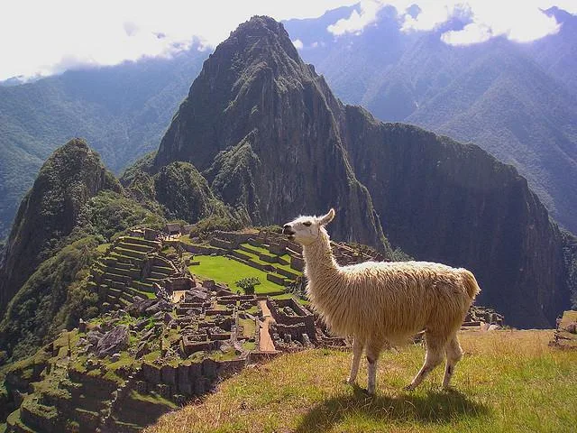 Machu Pichu J'ai vu 5 des