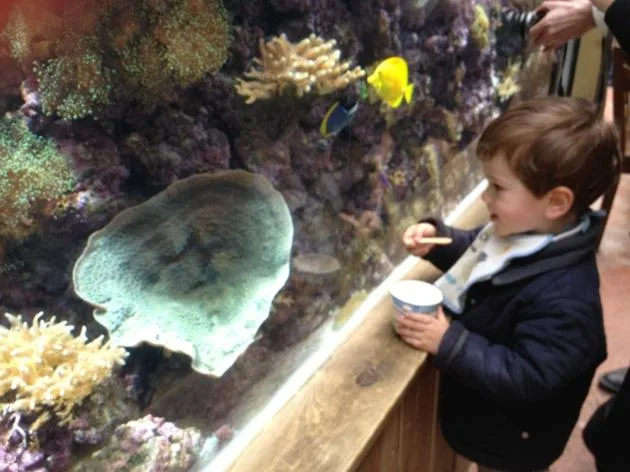 aquarium Visite du Zoo de Beauval