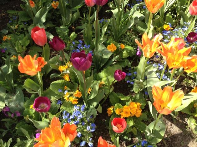 L’instant T : instant fleuri au parc
