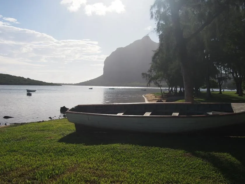 20120527-211639.jpg