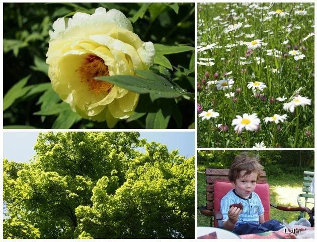 jardin Week-end en Allemagne : Kirchheim
