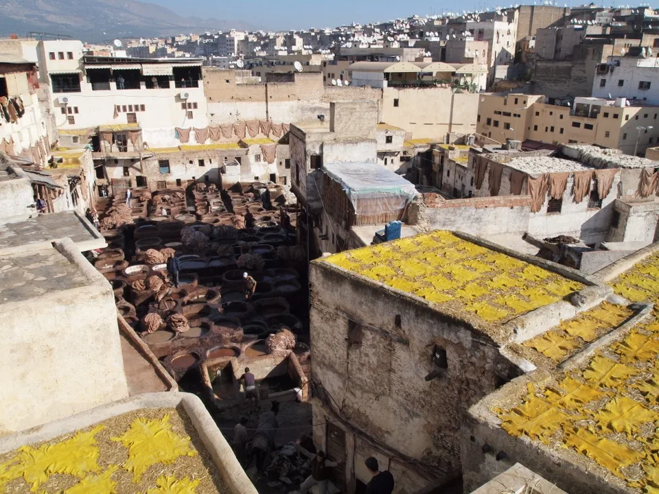 tannerie_fes