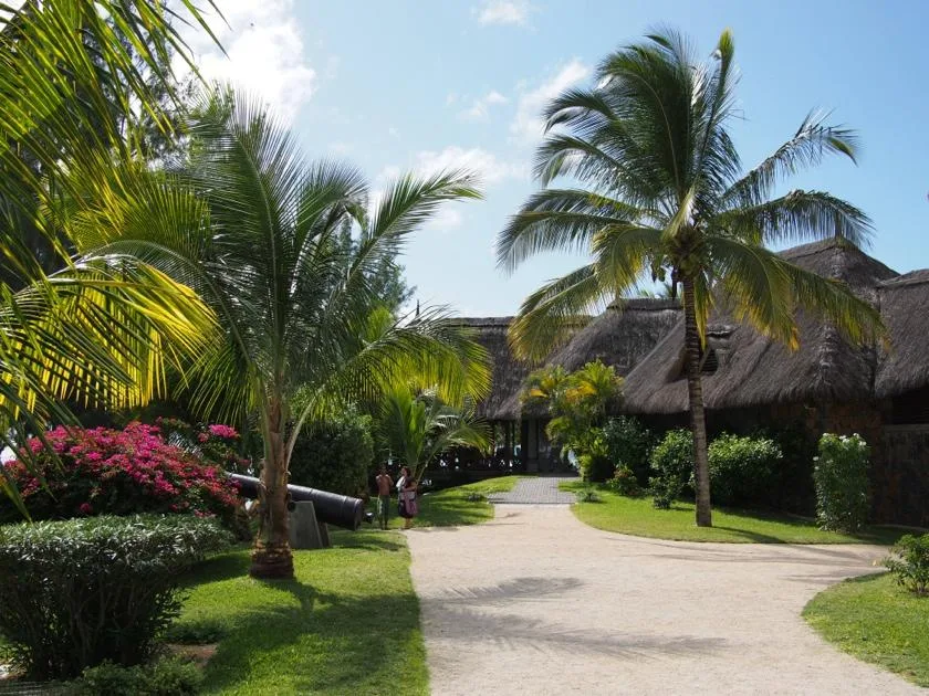Sentier bordé de palmiers à travers une station tropicale à l'île Maurice