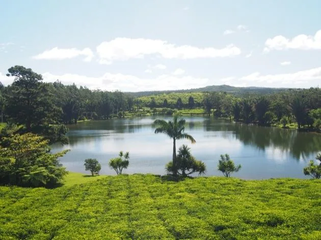 Notre voyage à l'île Maurice avec les enfants