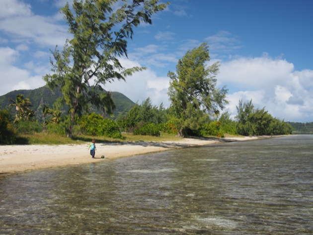 Les plus belles plages de l'île Maurice