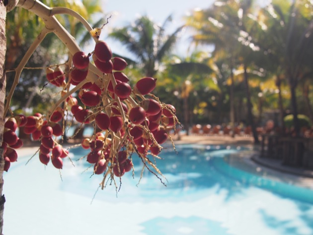 piscine L'hôtel Le Canonnier, île Maurice