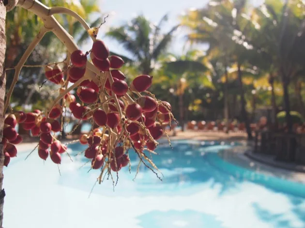 L'hôtel Le Canonnier, île Maurice