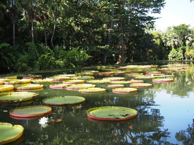 Notre voyage à l'île Maurice avec les enfants