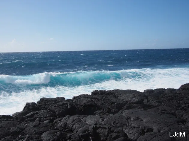 jardin volcanique Vagues déferlant sur la côte rocheuse de La Réunion