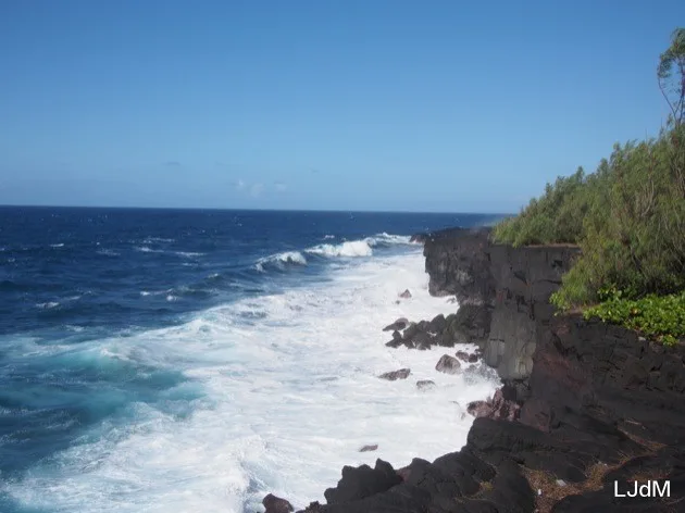 le jardin volcanique Côte volcanique de La Réunion avec vagues et ciel bleu
