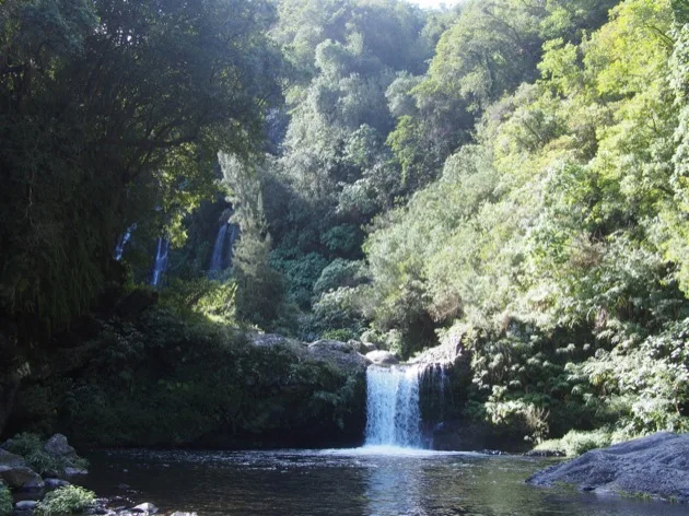 cascade Cascade au cœur de la forêt tropicale de La Réunion
