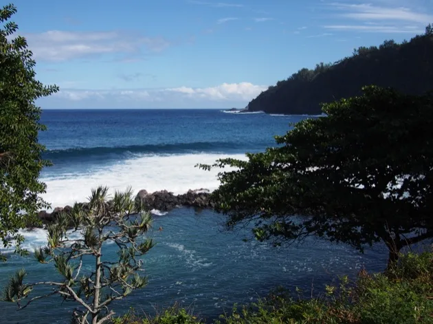 sud sauvage Baie sauvage bordée d'arbres à La Réunion