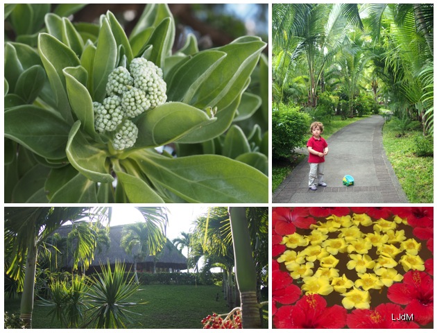 jardin L'hôtel Le Canonnier, île Maurice