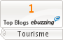 eBuzzing Classement Voyage : Le Journal de Maman n°1 !