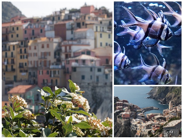 Mes escapades en Italie