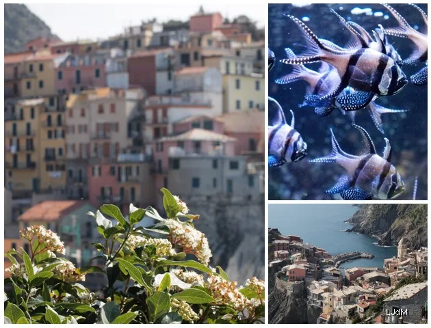 les 5 terre Mes escapades en Italie