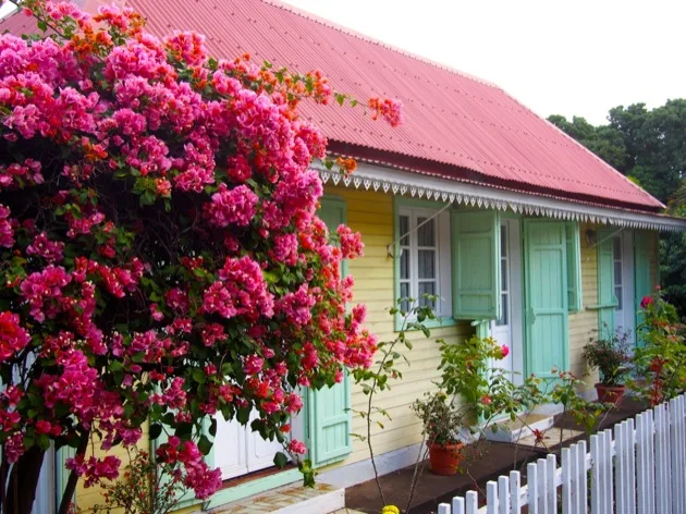 maison fleur Maisons créoles à La Réunion