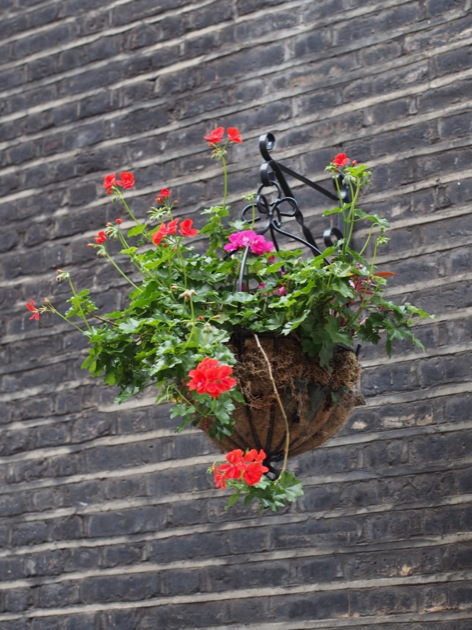 fleurs Week-end à Londres avec les enfants