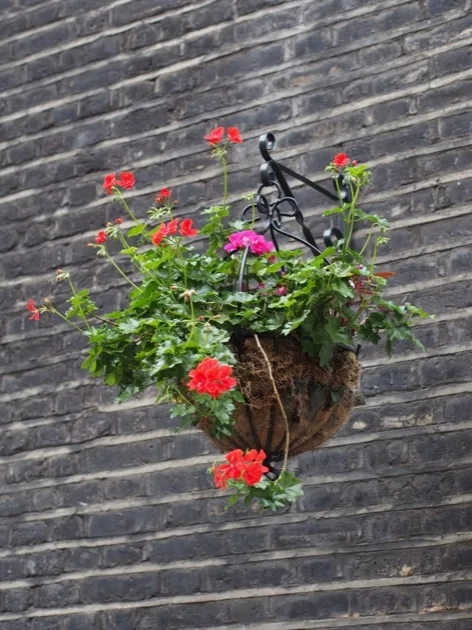 Panier de fleurs monté sur un mur de briques de Londres