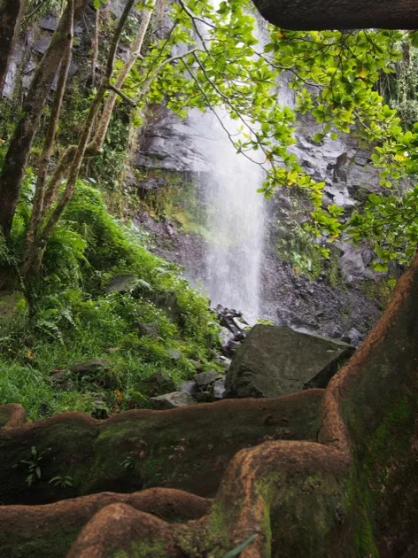 anseDesCascades 10 cascades de rêve à La Réunion