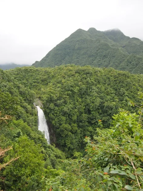 cascadeDuChien 10 cascades de rêve à La Réunion